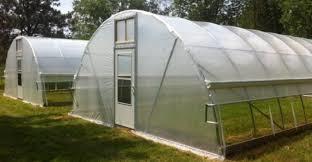 Greenhouse Farming in Nigeria – Buy a Greenhouse Now. - Veggie Grow